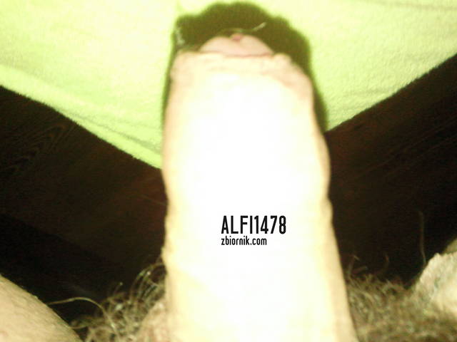 ukryty - alfi1478
