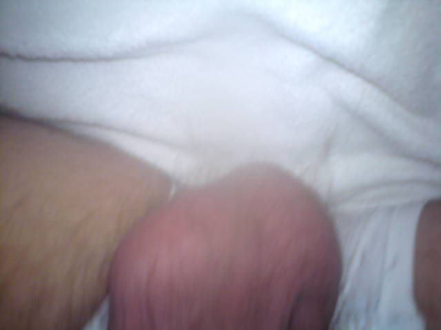 DSC00730.JPG - rafaelo32