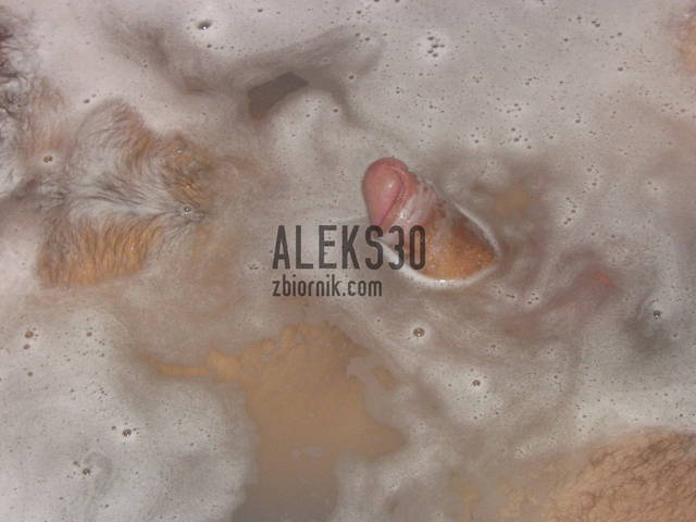 IMG_0452.JPG - ALEKS30