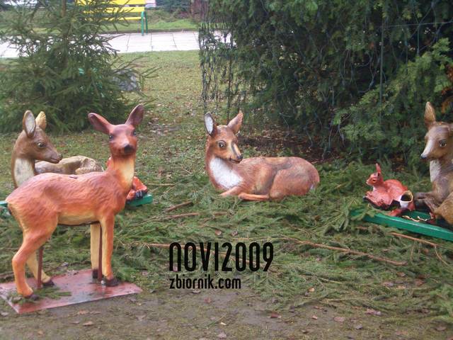 CIMG1968.JPG - novi2009