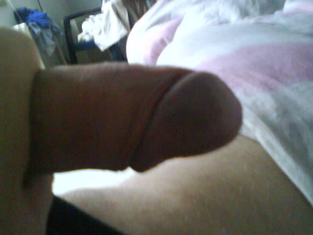 DSC00060.JPG - tomtg74