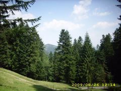 takie widoczki to codzienność była :)