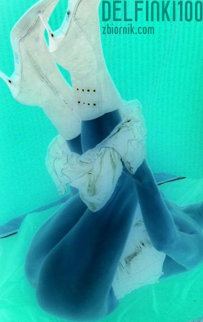 Negatyw - delfinki100