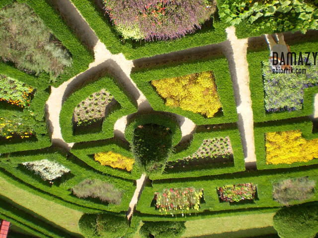 wiszące ogrody - damazy