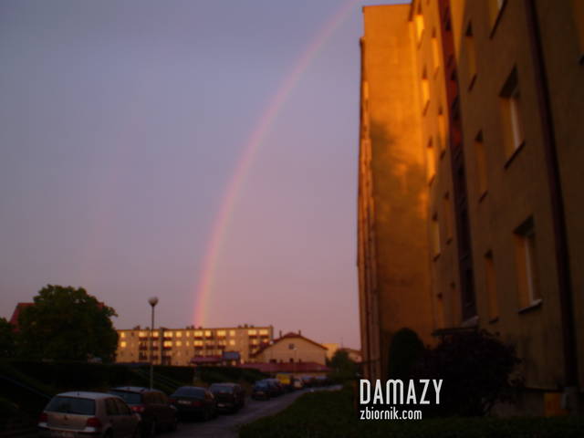 P5160446.JPG - damazy