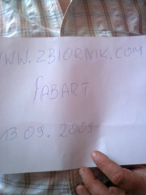 Zdjęcie0010.jpg - fabart