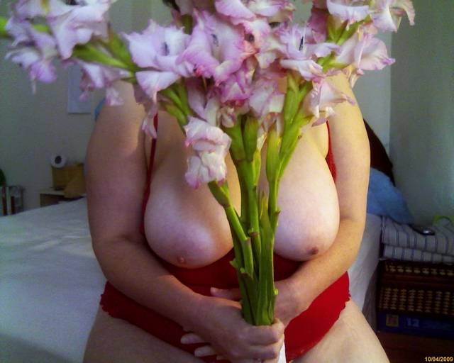 piękne kwiatki - my5056