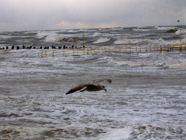 sztorm.jpg - adam383