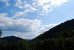 4030_2.jpg
