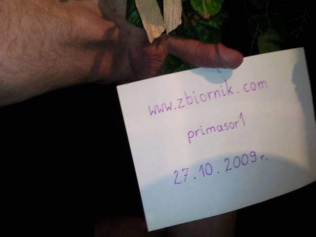 Moja weryfikacja - primasor1