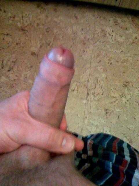photo(3)(2).jpg - Tygrysek_25