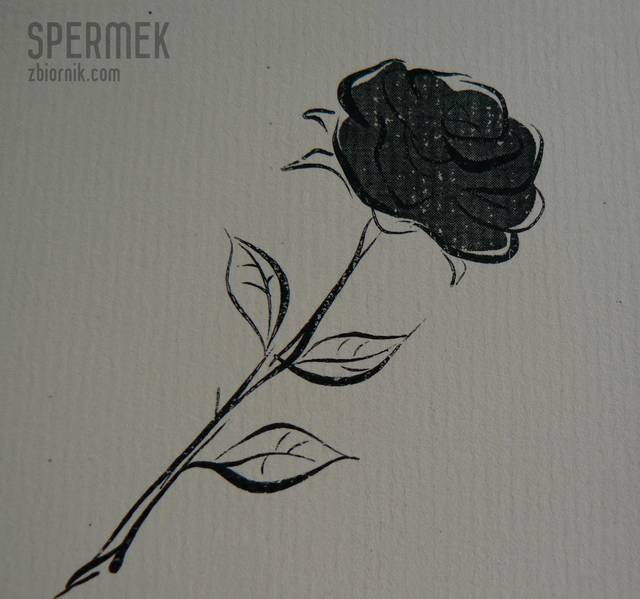 P1000348.JPG - spermek