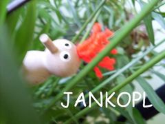 jeszcze raz mój ptaszek