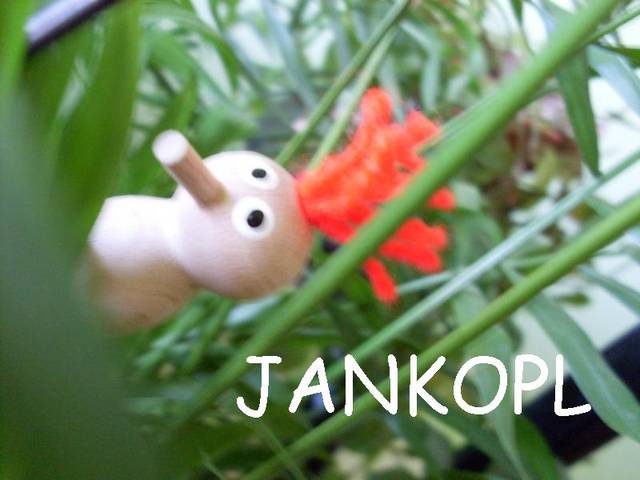 jeszcze raz mój ptaszek - JankoPL