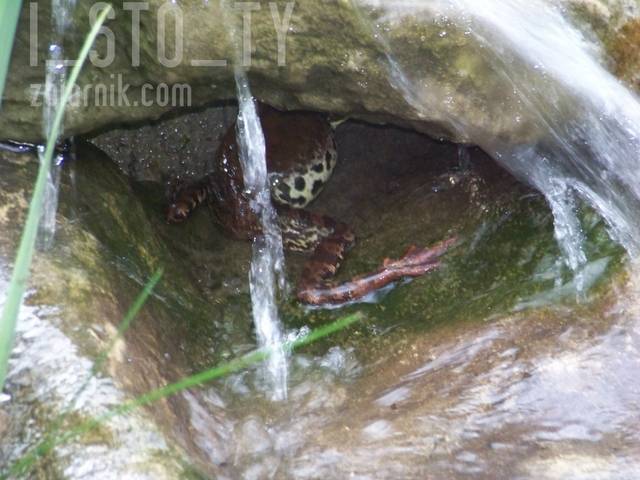 w lubrikacie - i_sto_ty