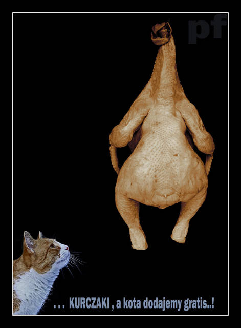 DRÓB JEST ZDROWY - panfoto