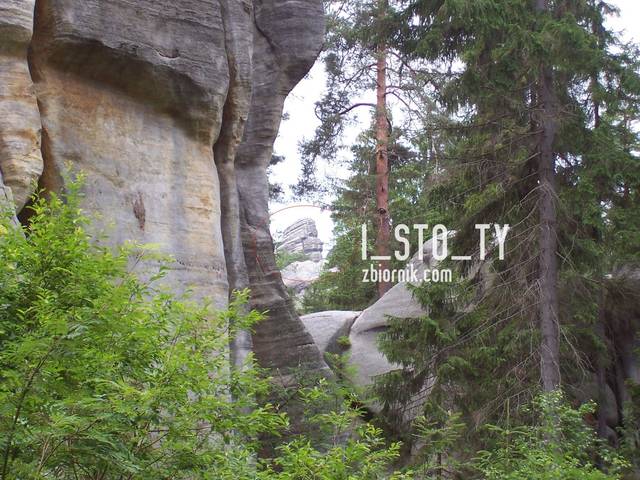 ukradli Sfinksa do lasu - i_sto_ty