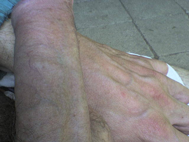 DSC07826.JPG - phjaroslaw