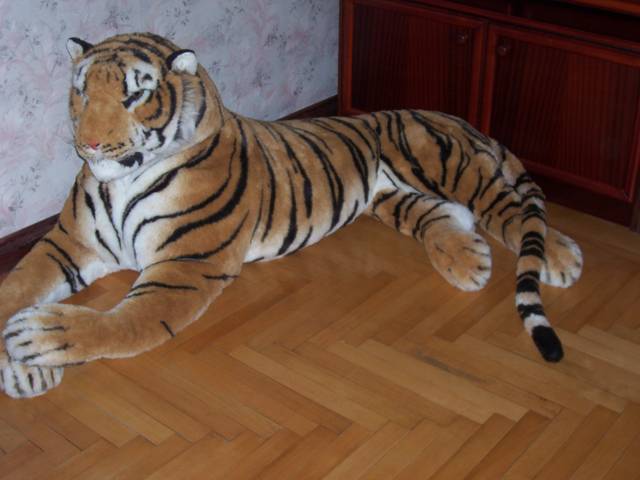 Obraz 006.jpg - pawcio781786