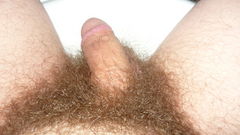 maluch;P