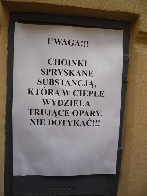 P1580013.JPG - puszysta789