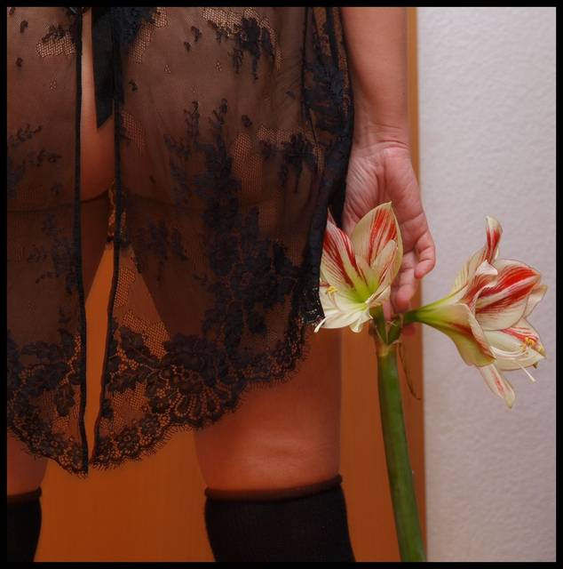 na strazy pokoju - haubi