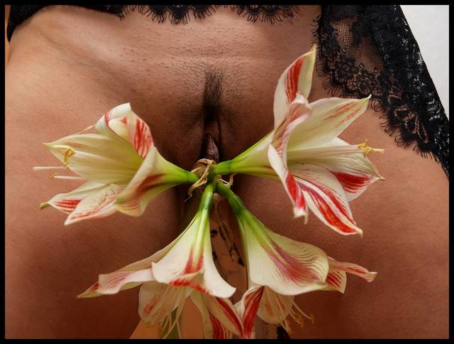 Brakujacy kielich - haubi