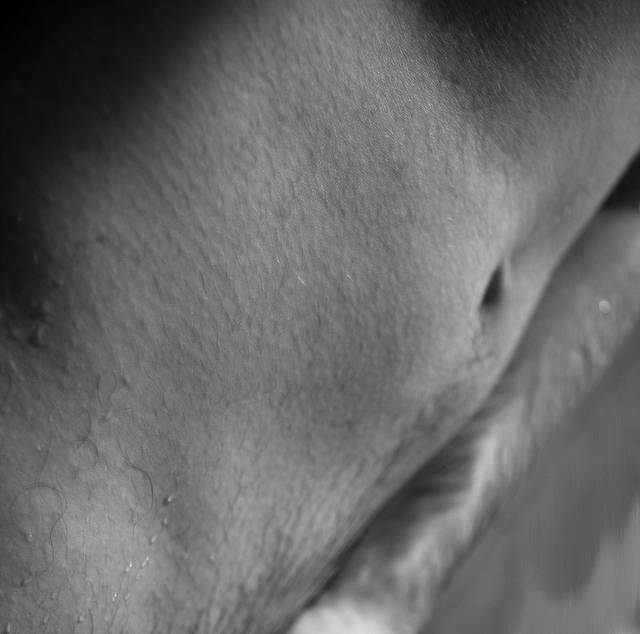 Krew i pot - artysta4u