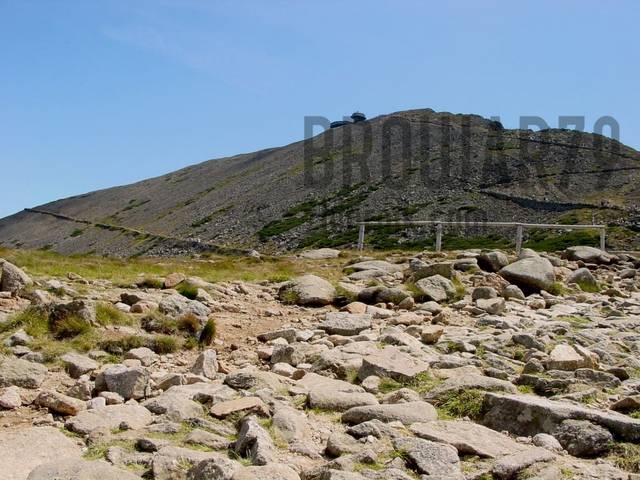 wsponienie - browar79