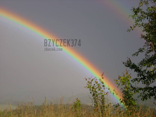 po burzy wychodzi słońce...:/ - bzyczek374