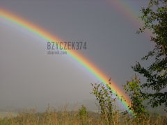 po burzy wychodzi słońce...:/