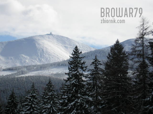 Śnieżka - browar79