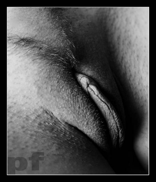 CIEKAWA ŚWIATA - panfoto