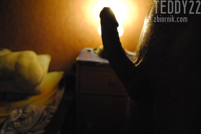 _DSC0637.JPG - Teddy22