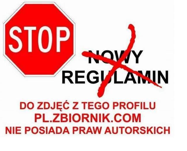 SSSSSSSSSSSS.jpg - ssylvesterr