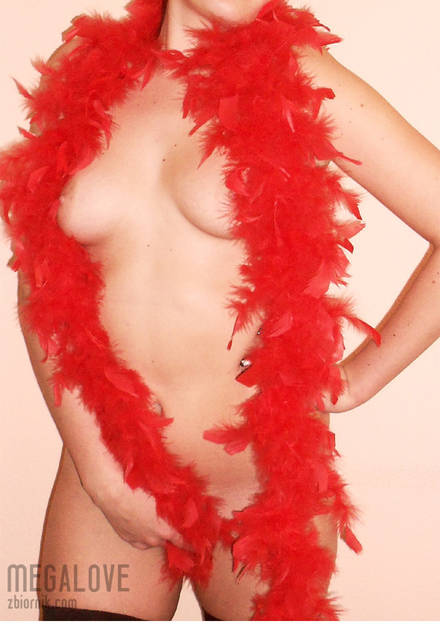 zapowiedz serii.... - megalove