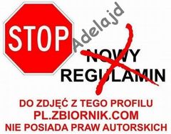Prawa autorskie.