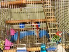 DSC01694.JPG