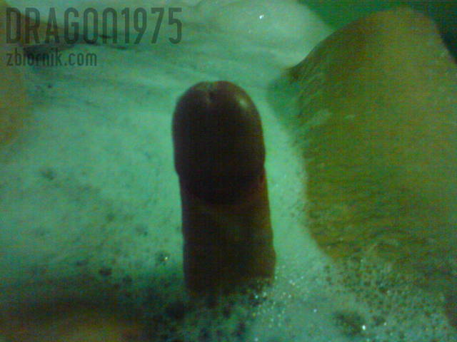 nowy 127.jpg - dragon1975