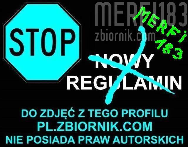 protest.JPG - merfi183