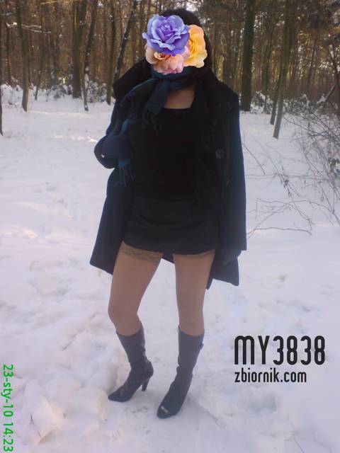 8 - My3838
