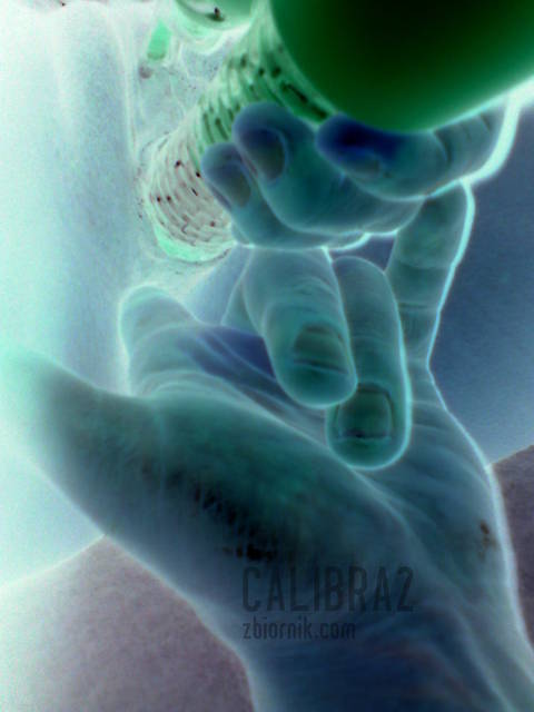 coś innego - calibra2