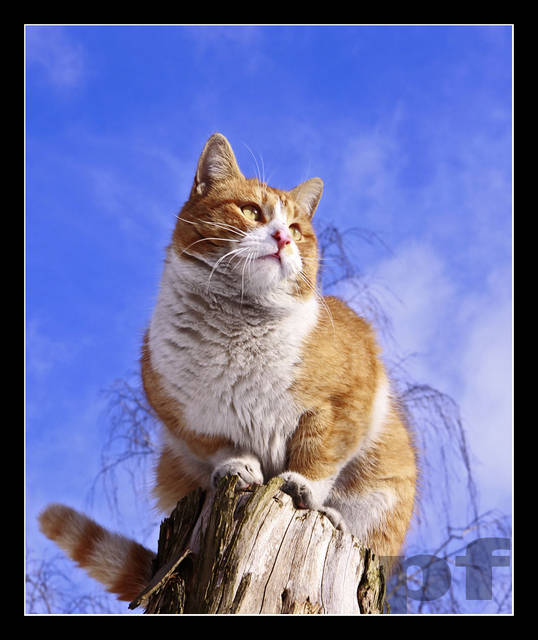 KONTROLER PRZESTRZENI - panfoto