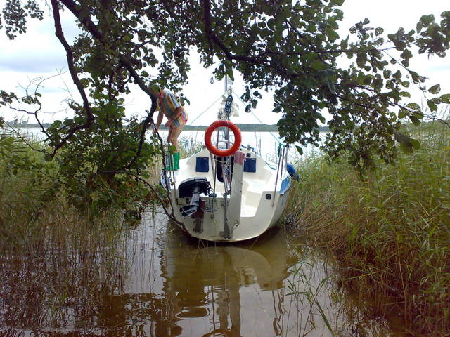 20090907748.jpg - franciszek123