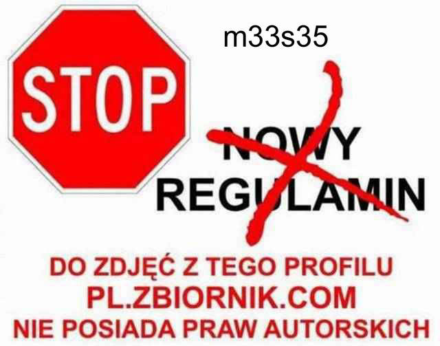 fdcafc2577947dfd7a793a443a4d113e kopia.jpg - m33s35