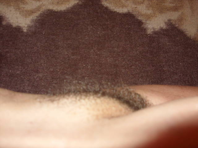 SDC16117.JPG - novi2009