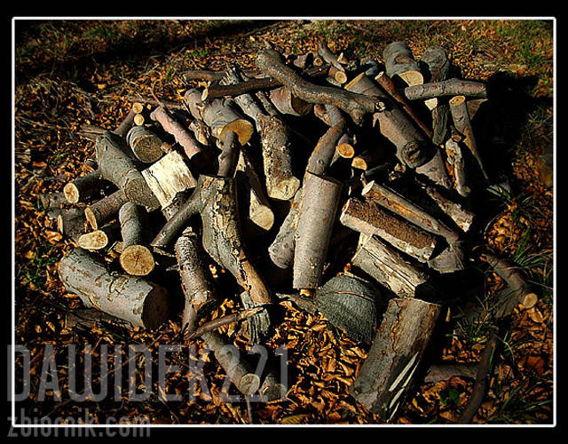 Gdzieś po drodze na Błatnią... - dawidek221