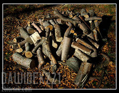 Gdzieś po drodze na Błatnią...