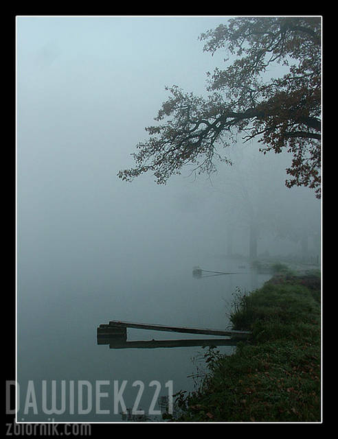 mgła... - dawidek221