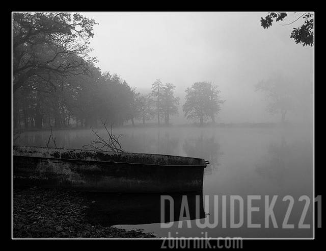 mgła... - dawidek221